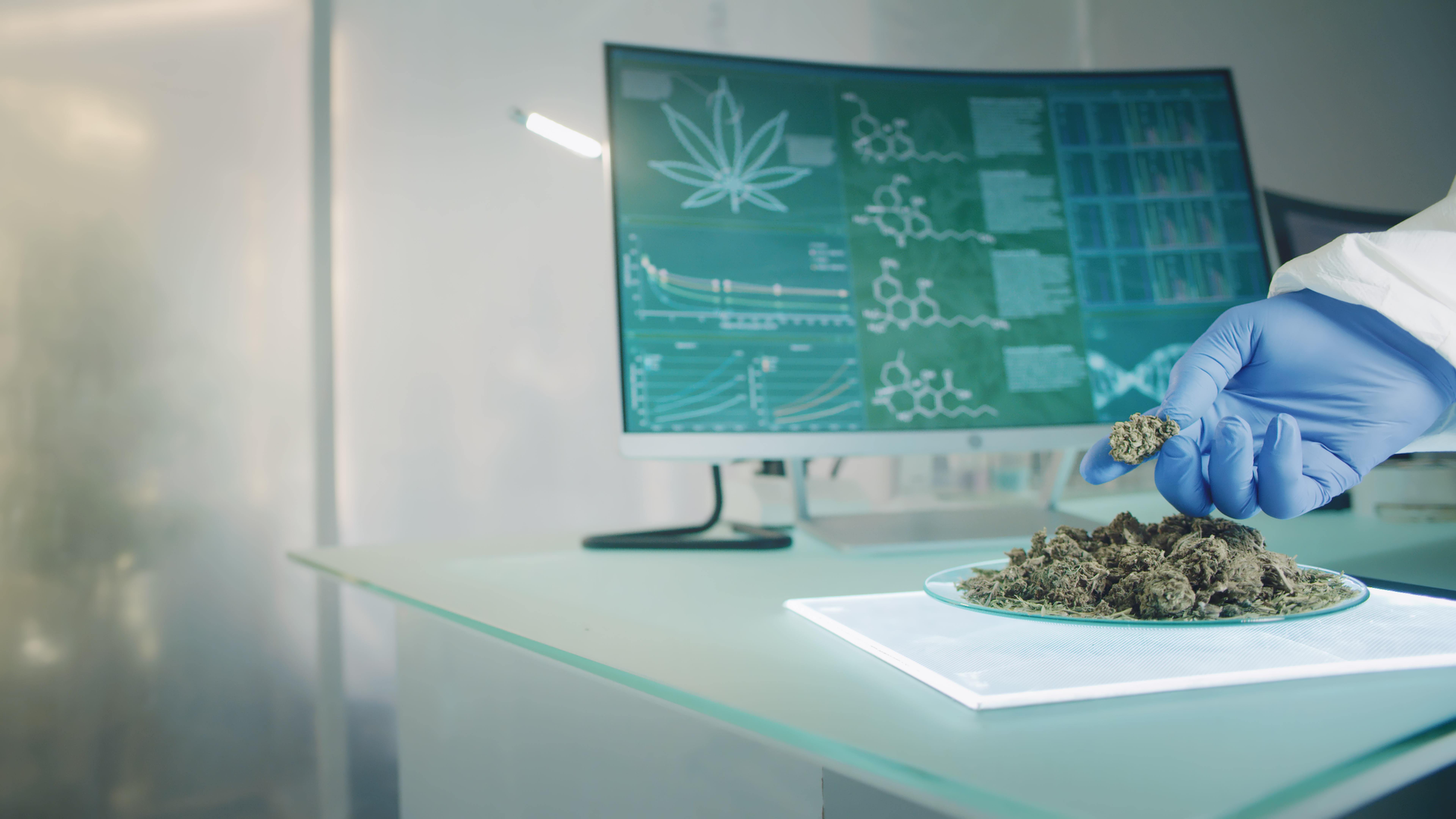 IAS Cannabis Banner